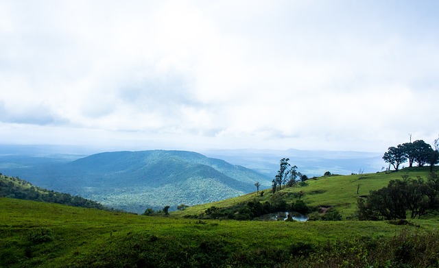球迷文化成为赛事最大亮点