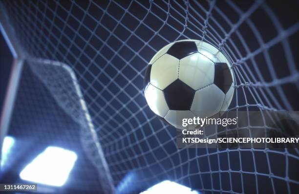 罗马诺：托纳利缺战与挪威的世预赛，据悉将返回纽卡