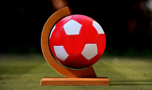 这无疑巩固 这无疑巩固