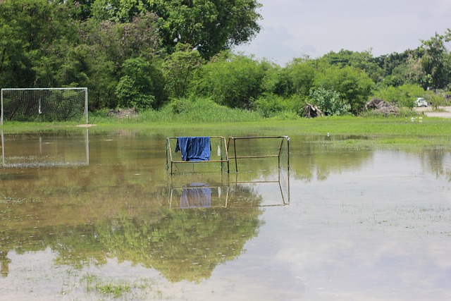 在這樣的背 在這樣的背