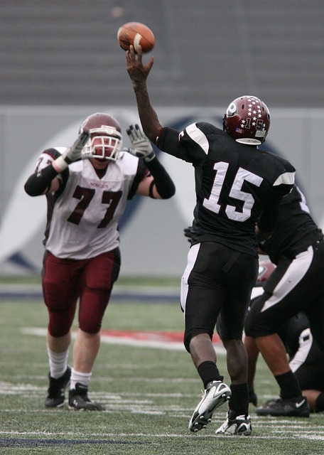 月会议纪要 月会议纪要