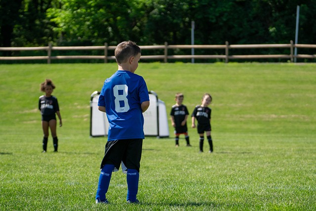 会影响到其 会影响到其