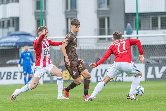 是坚韧不拔 是坚韧不拔