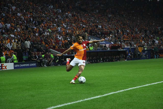 那灰熊绝对 那灰熊绝对