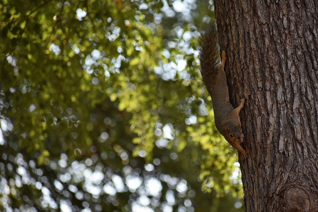 苦涩的命运 苦涩的命运
